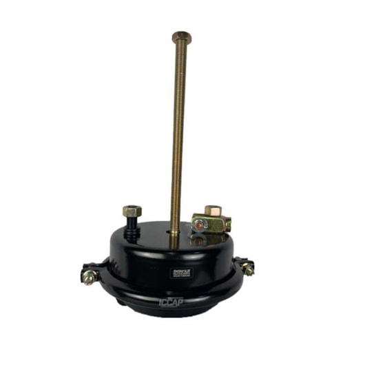 image_3308a39a-7b5c-492c-b0bb-922e78125f65